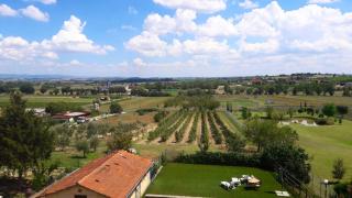 Il Melograno - Torrita di Siena - 1
