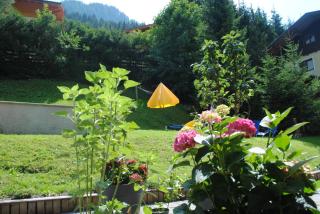 Naturhaus Andrea - 1