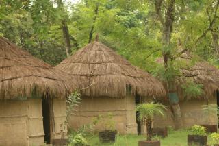 River Park Retreat - Sauraha - 9