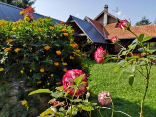 Guesthouse Ramović - Zlatibor - 7