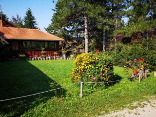 Guesthouse Ramović - Zlatibor - 1