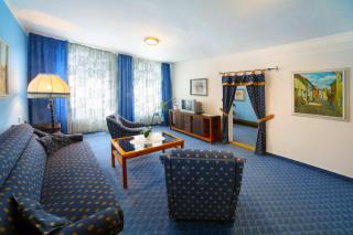 Hotel Solaster Garni - Třebíč - 8