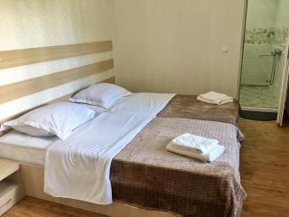 Teo Guesthouse and Camping in Mestia - Mestia - 8