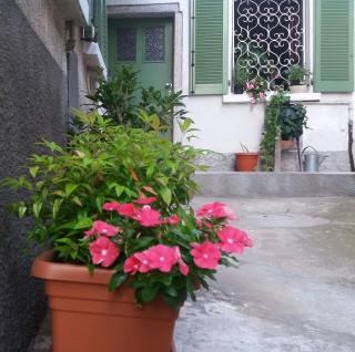 Ca' Nova - Casa in antico borgo - Laveno-Mombello - 6