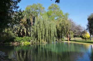 Kupferquelle Resort - 7