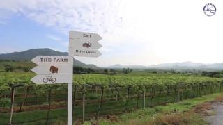 The Pride Paradise - 8