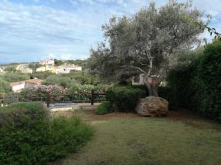 Villa con Piscina Stintino - Stintino - 2