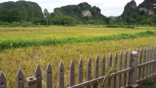Tam Coc Green Garden Bungalow - 8