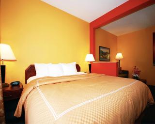 Comfort Suites Stevens Point - Stevens Point - 3