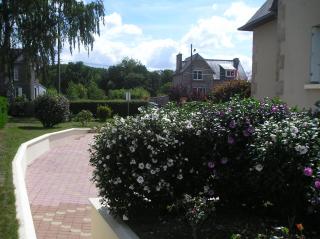 Les Hortensias - Saint-Pierre-de-Plesguen - 5