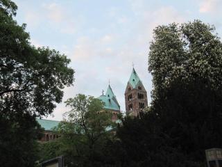 Zwischen-Rhein-und-Reben, zentral, barrierefrei - Speyer - 8