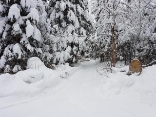 Chalet Milan - Milan - 1