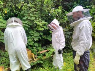 Castletownmoor Clinic & Permaculture Farm - 4