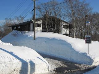 Alp Bach Madarao - Iiyama - 4