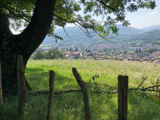 Zubitarte - Elizondo - 6