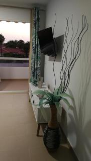 Aloe Heaven - Playa del Inglés - 6