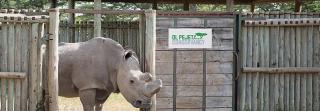 Ol Pejeta Holiday Villas - Nanyuki - 1