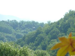 Le Logis d'Hortense - Vic-le-Comte - 5