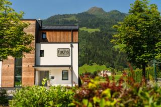 Fuchs Apartments - inklusive Eintritt in die Alpentherme Gastein - Bad Hofgastein - 9