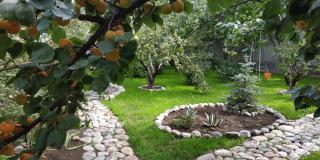 Evergreen Guesthouse - Karakol - 2