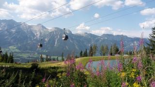 Hotel Garni Erlbacher - Schladming - 5