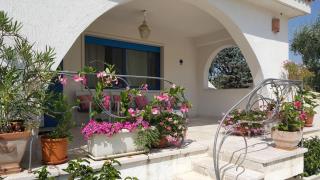 Casa MARESOLE - Mattinata - 0