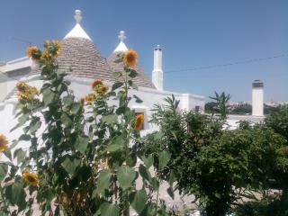 Trullo in piena valle d'itria del 1800 - Cisternino - 9