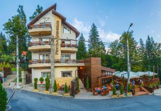 Hotel Piatra Soimului - Sinaia - 7