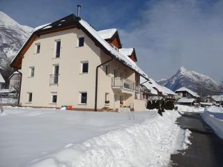Apartma Petka - 3