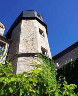 Logis Saint-Flaceau - Le Mans - 0