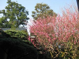 Gyokutei - Hakone - 3