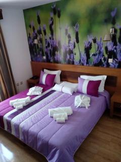 Hotel Rural Sra De Pereiras - Vimioso - 9