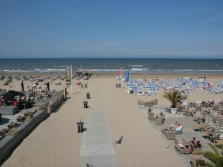 Dar Cho Apartment - Zandvoort - 9