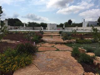 Trulli IsAgo - Locorotondo - 6