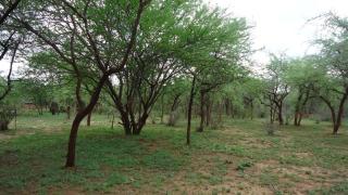 Mailua Retreat - Mailua - 2