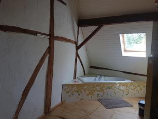 Gîte d'Hildegarde with sauna - Fallais - 3