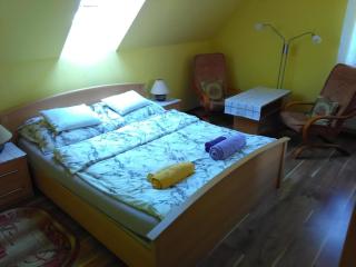 Apartment Helena - Bielsko-Biala - 8
