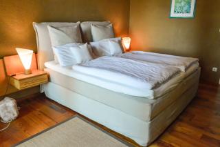 Bio- und Gesundheitshotel Gutshaus Stellshagen - Stellshagen - 5