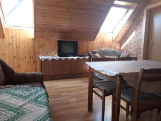 Alyvos - Ignalina - 1