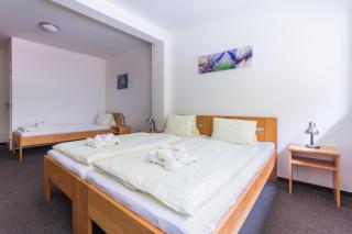 Hotel&Wellness Knížecí rybník - Tábor - 5