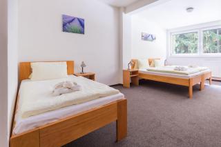 Hotel&Wellness Knížecí rybník - Tábor - 7