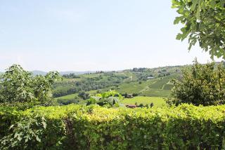 CA' DIJ SARACH - Canelli - 8