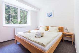 Hotel&Wellness Knížecí rybník - Tábor - 8