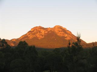 Tuckeroo Cottages & Gardens - Blue Wren & Kookaburra - 3