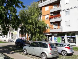 Sovica - 3