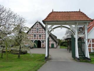 Obsthof Fock - Mittelnkirchen - 6