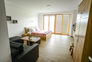 Papa Apartments - Berovo - 1