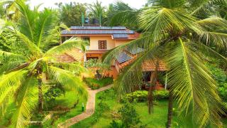 King Coconut Lodge - Habaraduwa - 4