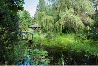 Domek w niebie - Kazuń Bielany - 6