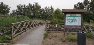 Complesso "I Giardini Elisei" - Policoro - 7